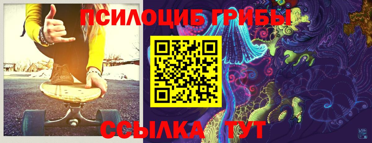 Мичуринск  Галлюциногенные грибы Magic Shrooms  Вход с VPN  Псилоцибиновые грибы Psilocybe 