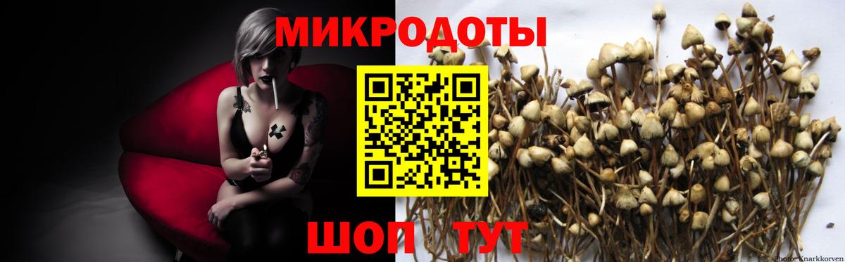 Псилоцибиновые грибы Psilocybine cubensis Мичуринск